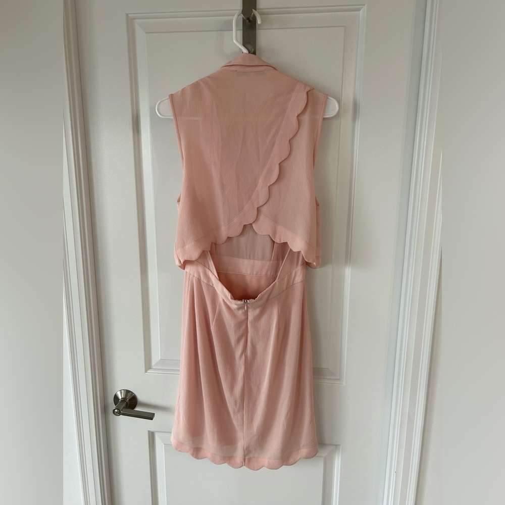 Pink Dress